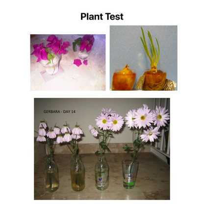 Bodywell - EMF Protection